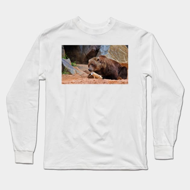 Teddy Bear At Play Long Sleeve T-Shirt by Cynthia48